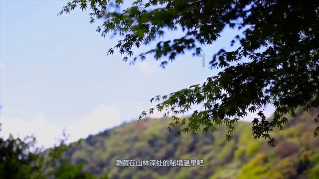 微博社区志愿者上传手持身份证安全吗?-机智问答,智能解答疑惑